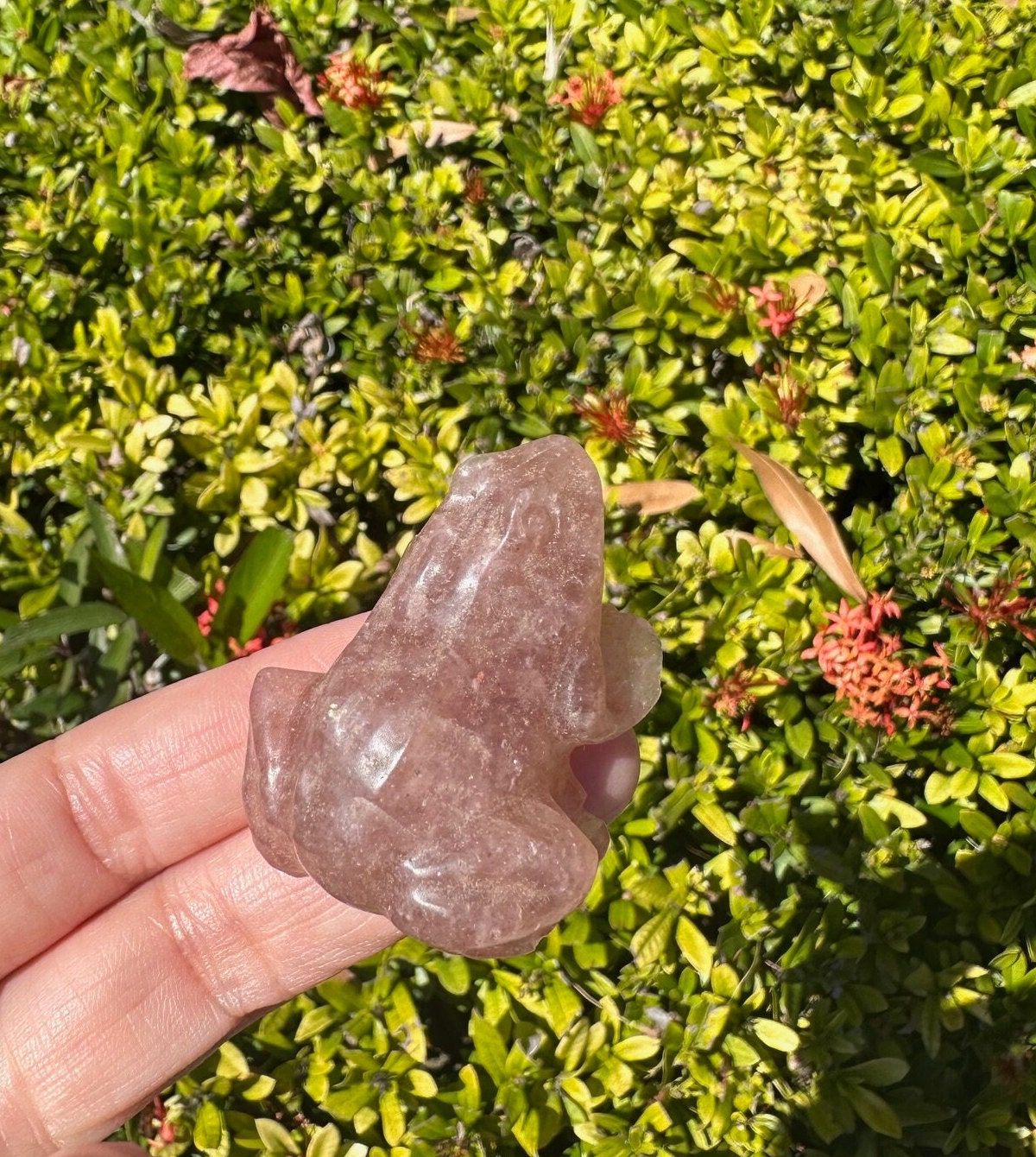 Strawberry Quartz Frog Figurine