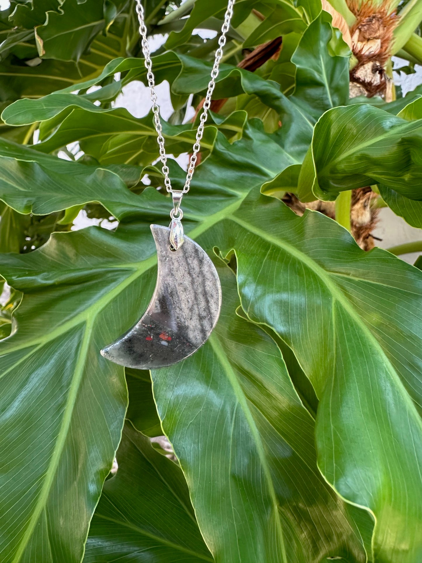 African Bloodstone Crescent Pendant Necklace