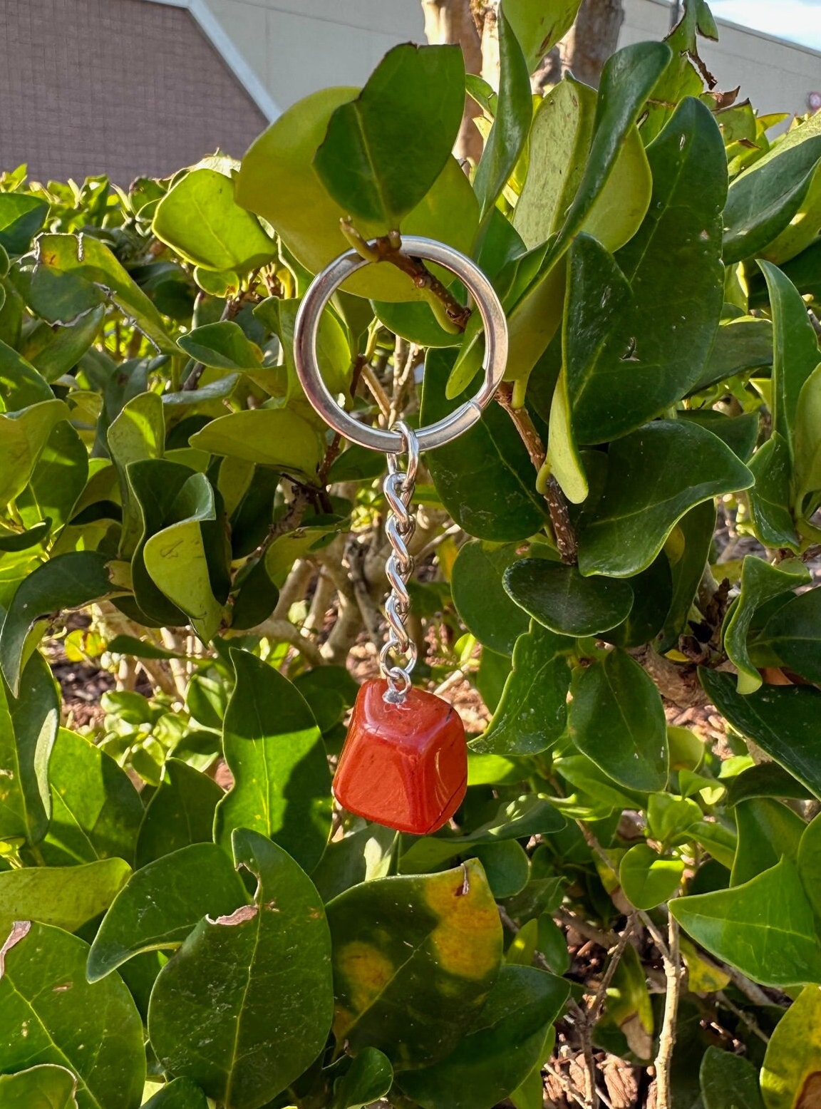 Red Jasper Keychain